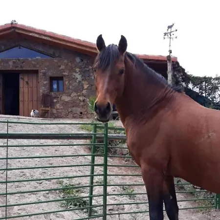 Сasa de vacaciones Sunny Scape Rural By Interhome *