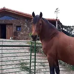 Σπίτι διακοπών Sunny Scape Rural By Interhome *