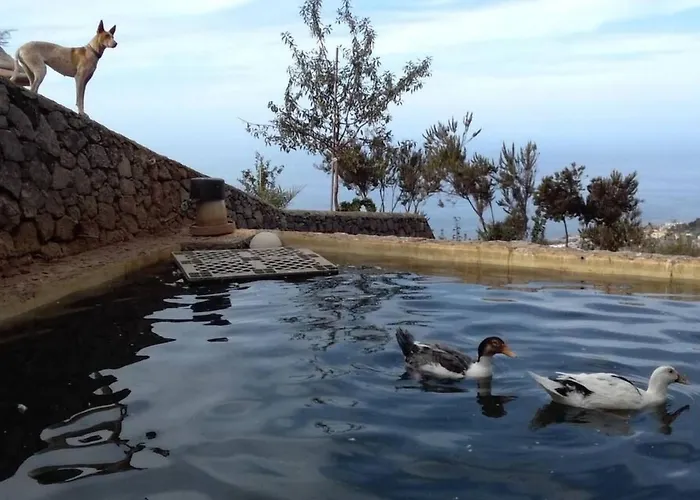 Σπίτι διακοπών Sunny Scape Rural By Interhome Santa Úrsula