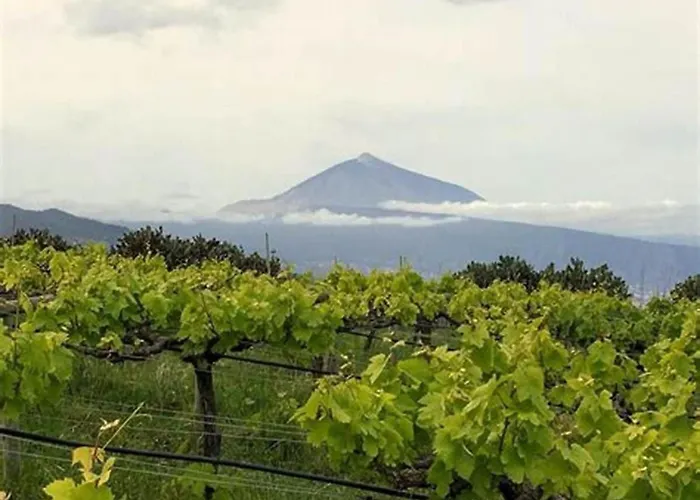 Semesterbostad Sunny Scape Rural By Interhome